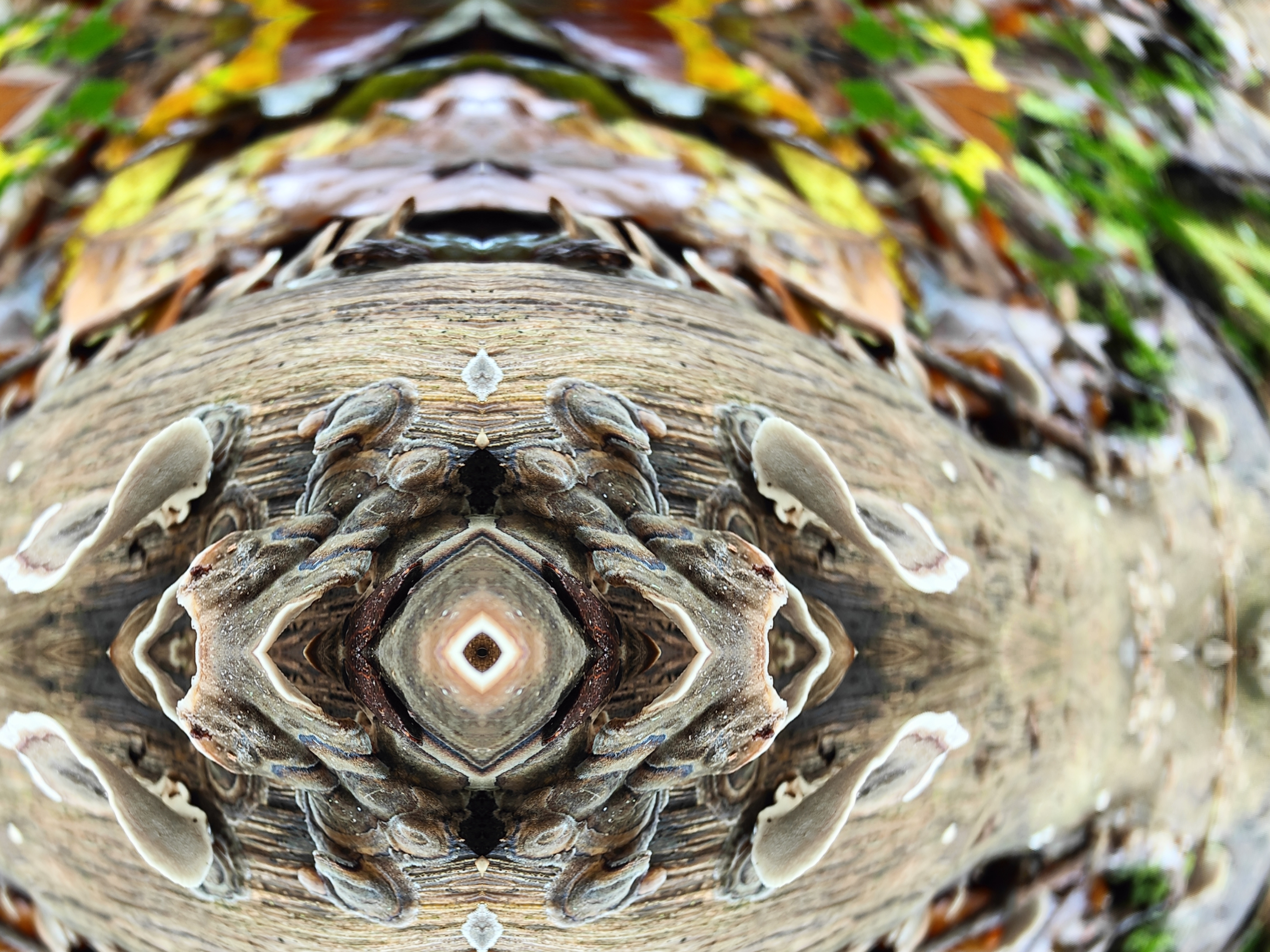 Sloe.Brook.Rise fractal artwork